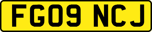 FG09NCJ