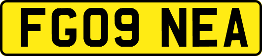 FG09NEA