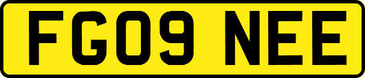 FG09NEE