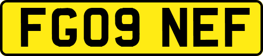 FG09NEF
