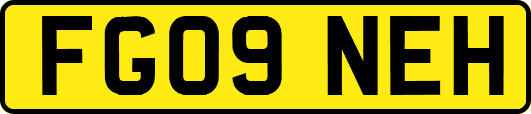 FG09NEH