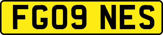FG09NES
