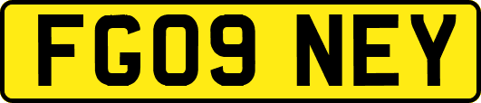 FG09NEY