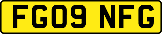 FG09NFG