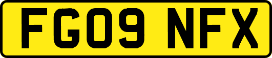 FG09NFX