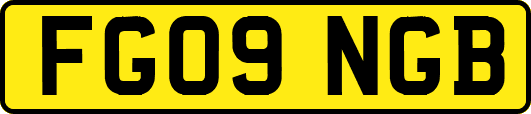 FG09NGB
