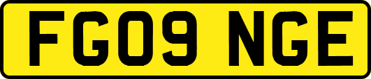 FG09NGE