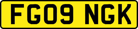 FG09NGK