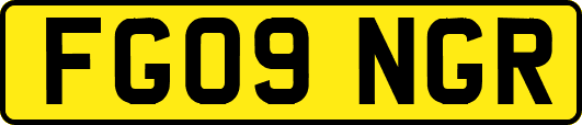 FG09NGR