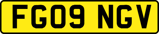 FG09NGV