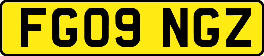 FG09NGZ