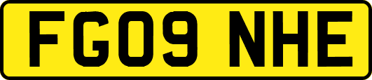 FG09NHE