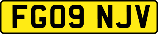 FG09NJV