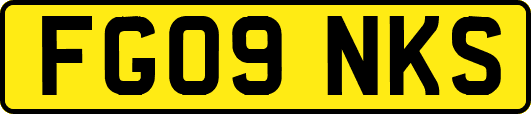 FG09NKS