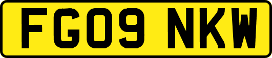 FG09NKW