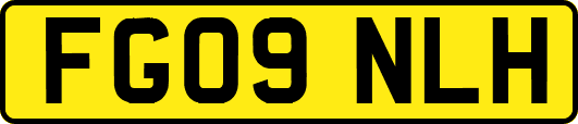 FG09NLH