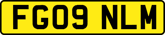 FG09NLM