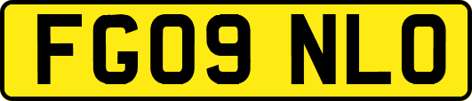 FG09NLO