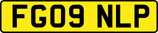 FG09NLP