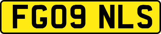 FG09NLS