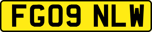 FG09NLW