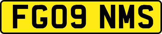 FG09NMS