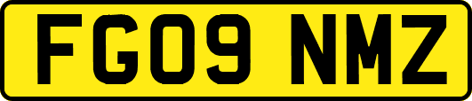 FG09NMZ