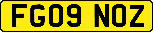 FG09NOZ