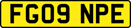 FG09NPE