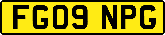 FG09NPG