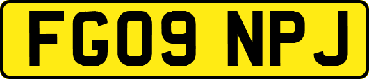 FG09NPJ