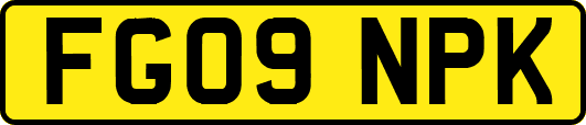 FG09NPK