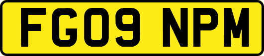 FG09NPM