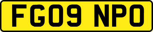 FG09NPO
