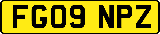 FG09NPZ