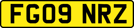 FG09NRZ