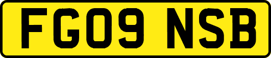 FG09NSB