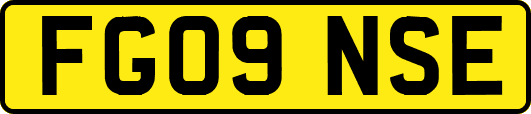 FG09NSE