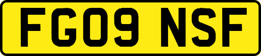 FG09NSF