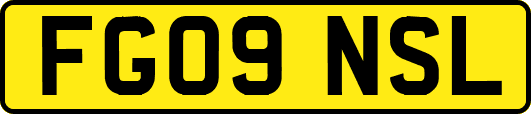 FG09NSL