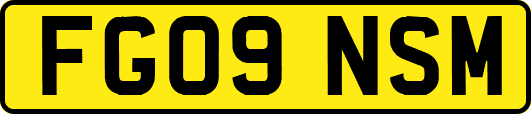 FG09NSM