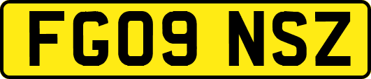 FG09NSZ