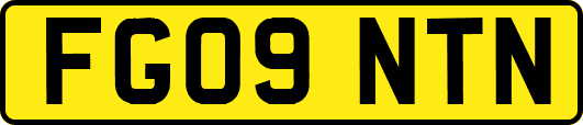 FG09NTN