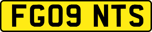 FG09NTS