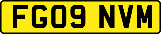 FG09NVM