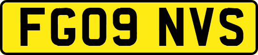 FG09NVS