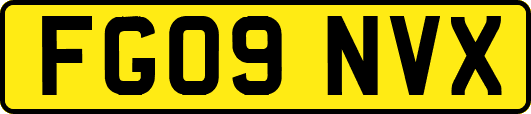 FG09NVX