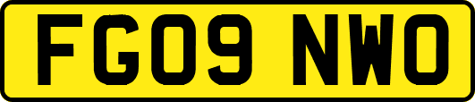 FG09NWO
