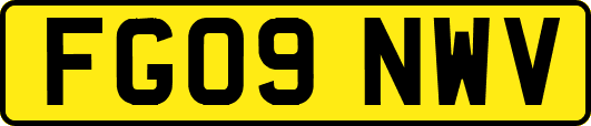 FG09NWV