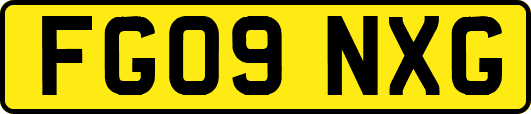 FG09NXG